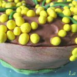 Torta Mimosa 2011
