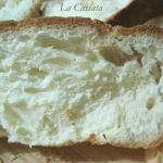 Pane in cassetta o fungo atomico?