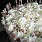 Gâteau au cacao et camy cream à la nutella sans gluten - La Cassata Celiaca