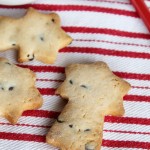 Biscotti con le gocce di cioccolato senza glutine - La Cassata Celiaca