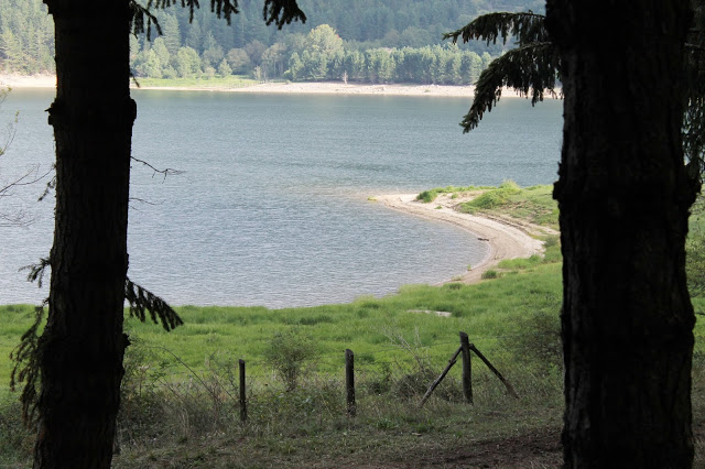 Lago Arvo in Sila - La Cassata Celiaca Lago Arvo in Sila - La Cassata Celiaca