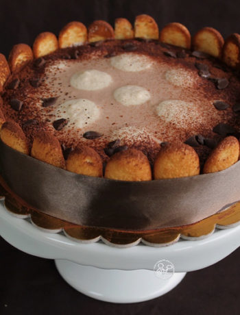 Charlotte Tiramisù sans gluten - La Cassata Celiaca
