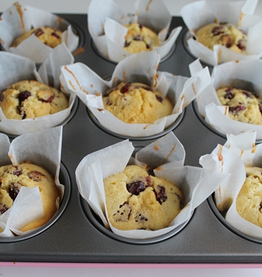 Muffins ai mirtilli senza glutine e senza lattosio - La Cassata Celiaca