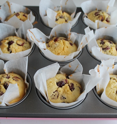 Muffins aux myrtilles sans gluten ni lactose - La Cassata Celiaca 