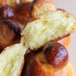 Brioches siciliennes sans gluten, la vidéo - La Cassata Celiaca