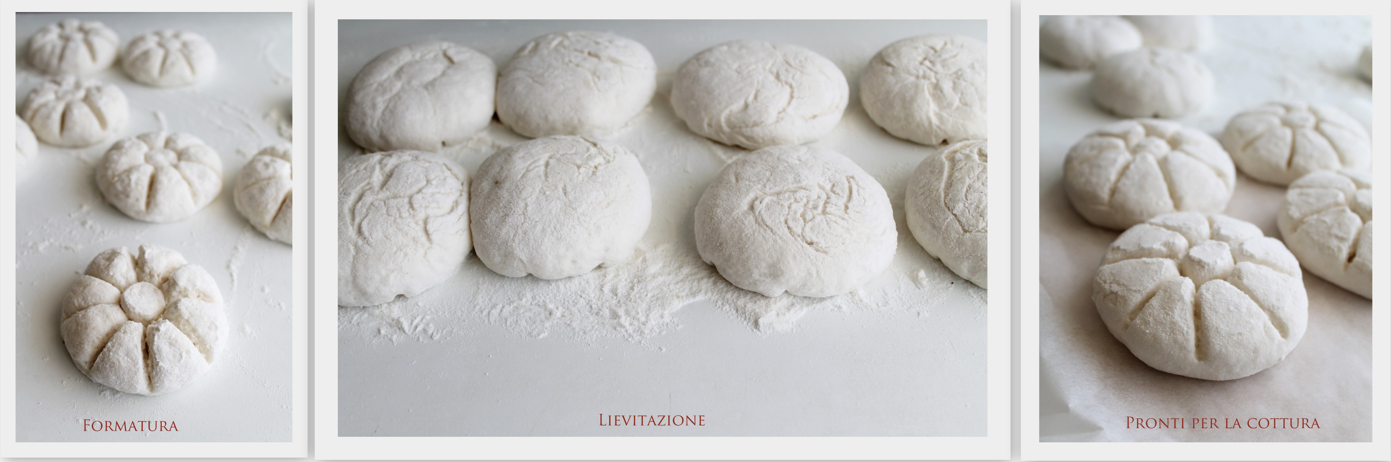 Petits pains Rosette sans gluten - La Cassata Celiaca