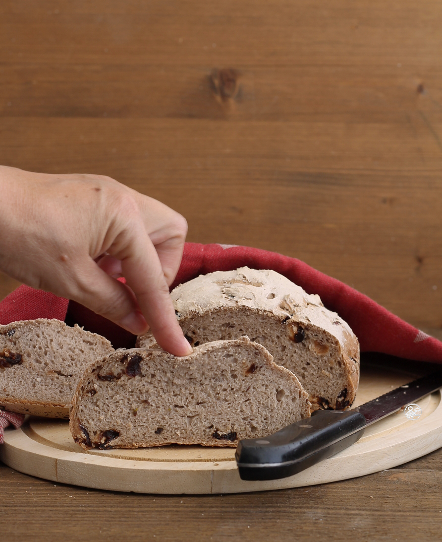 Pain sans gluten aux myrtilles et grains - La Cassata Celiaca