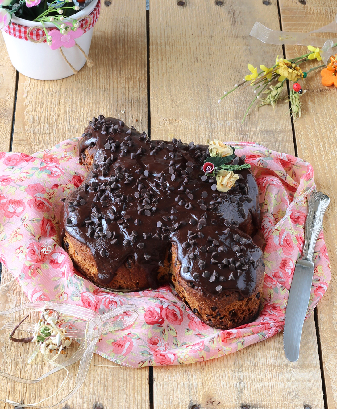 Colomba au chocolat sans gluten- La Cassata Celiaca