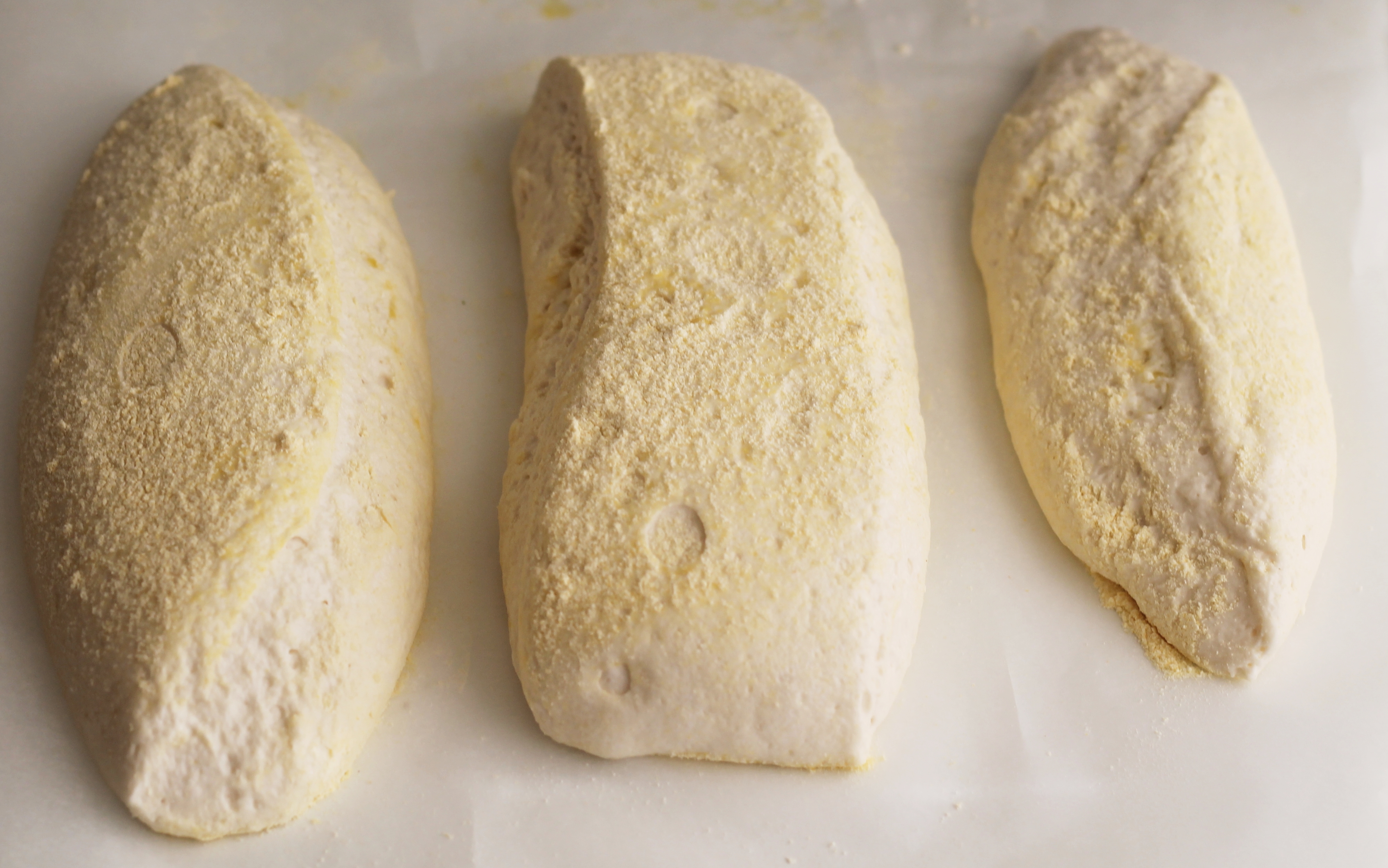 Filoni di pane senza glutine e senza lattosio - La Cassata Celiaca