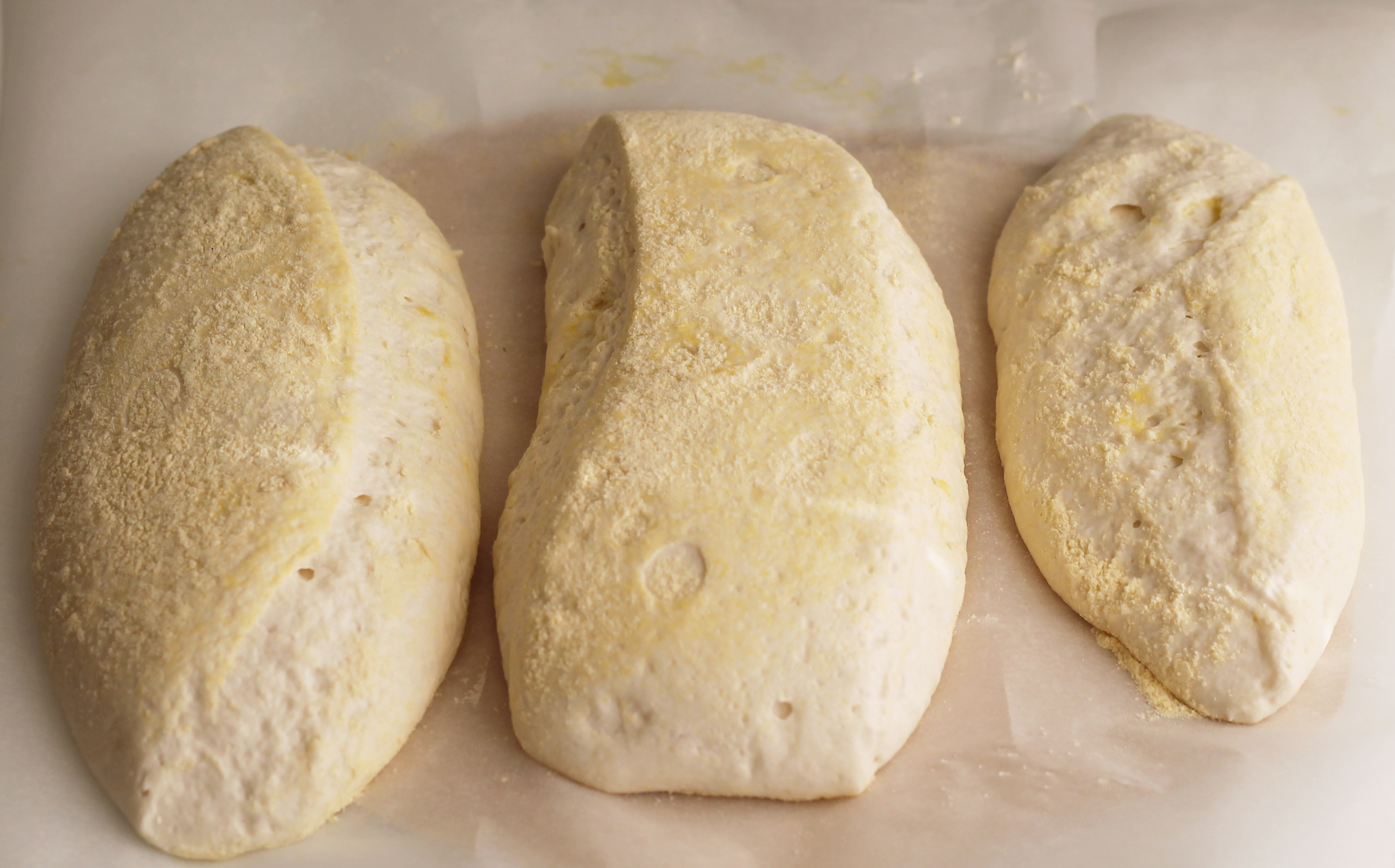 Filoni di pane senza glutine e senza lattosio - La Cassata Celiaca