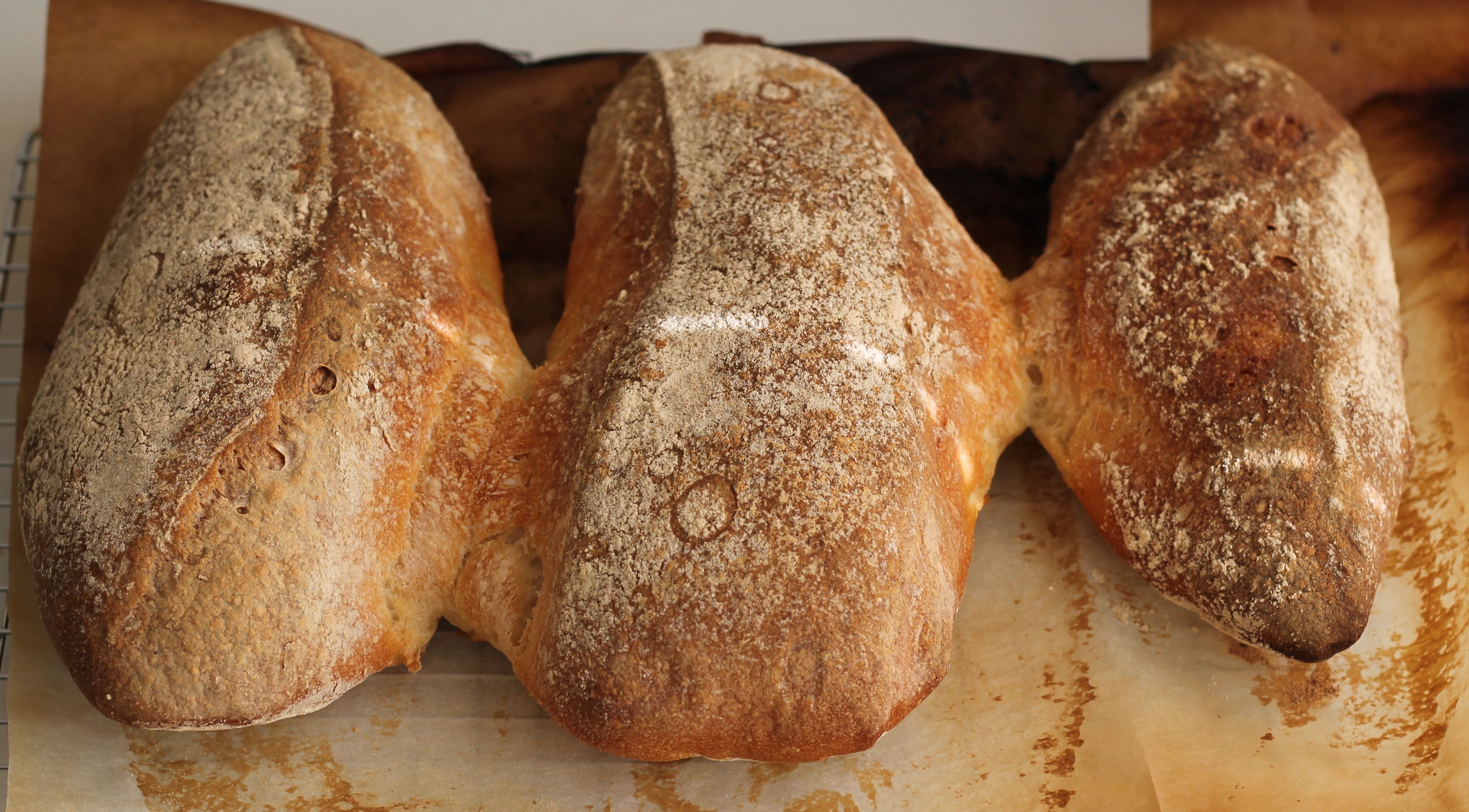 Filoni di pane senza glutine e senza lattosio - La Cassata Celiaca