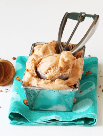 Nice Cream alle albicocche senza glutine e senza lattosio - La Cassata Celiaca