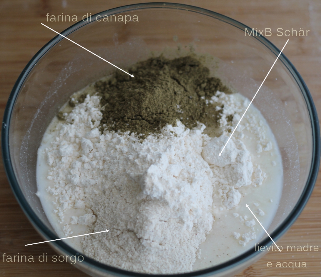 Focaccia senza glutine al rosmarino - La Cassata Celiaca