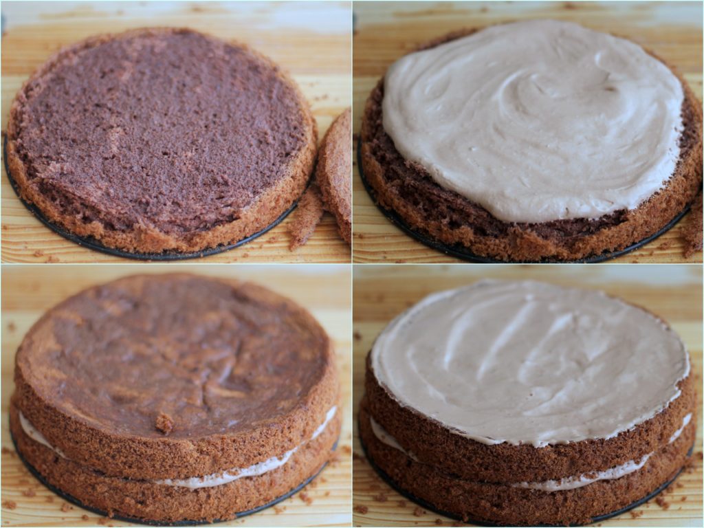 Cake au cacao - La Cassata Celiaca