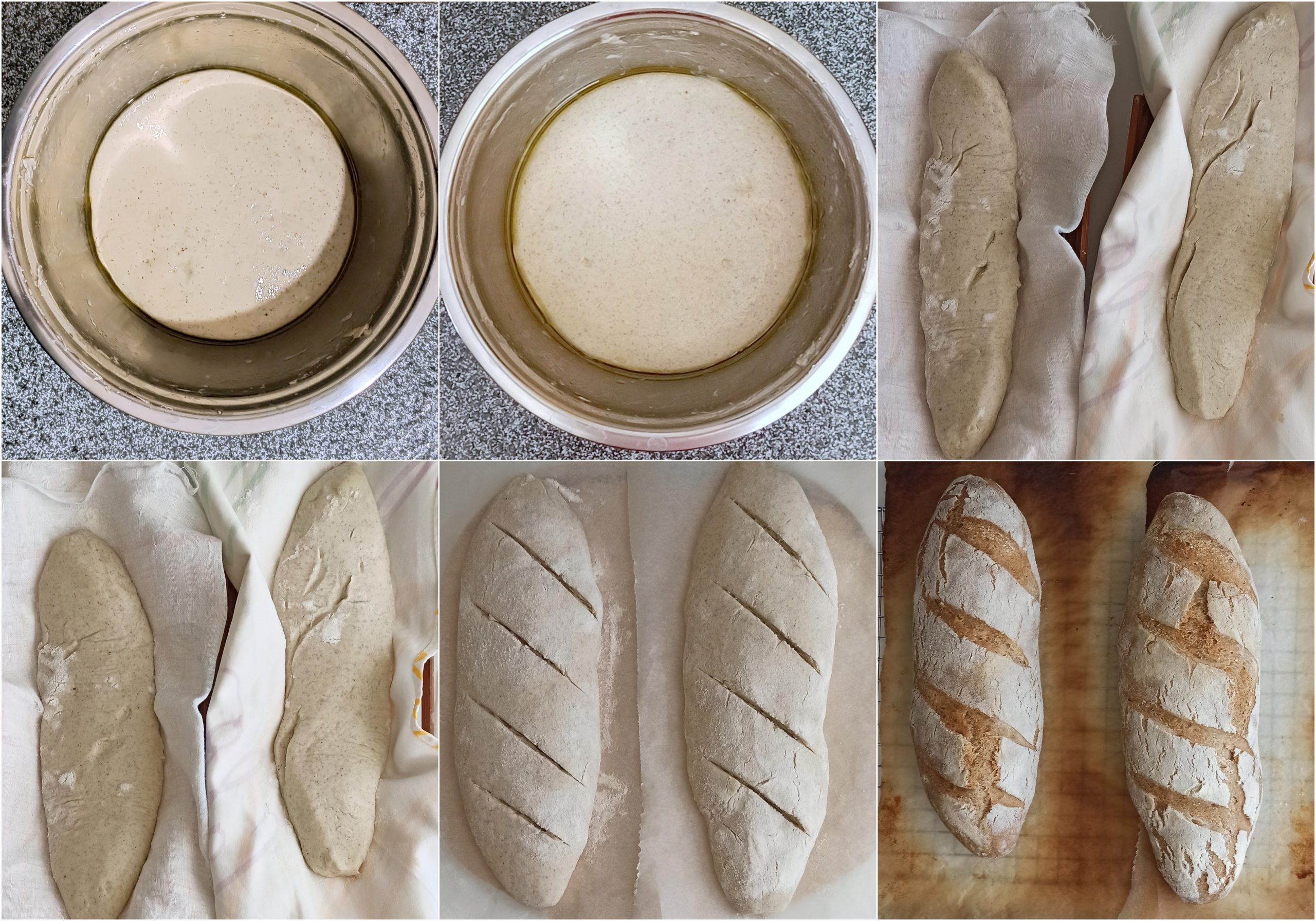 Pain bâtard sans gluten au levain - La Cassata Celiaca