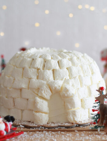 Gâteau igloo sans gluten - La Cassata Celiaca