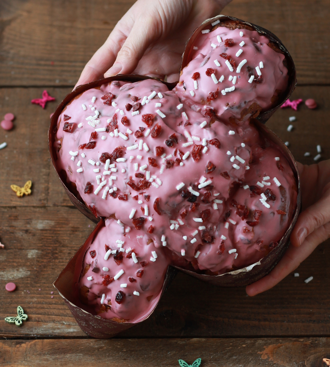 Colomba Ruby aux myrtilles sans gluten- La Cassata Celiaca