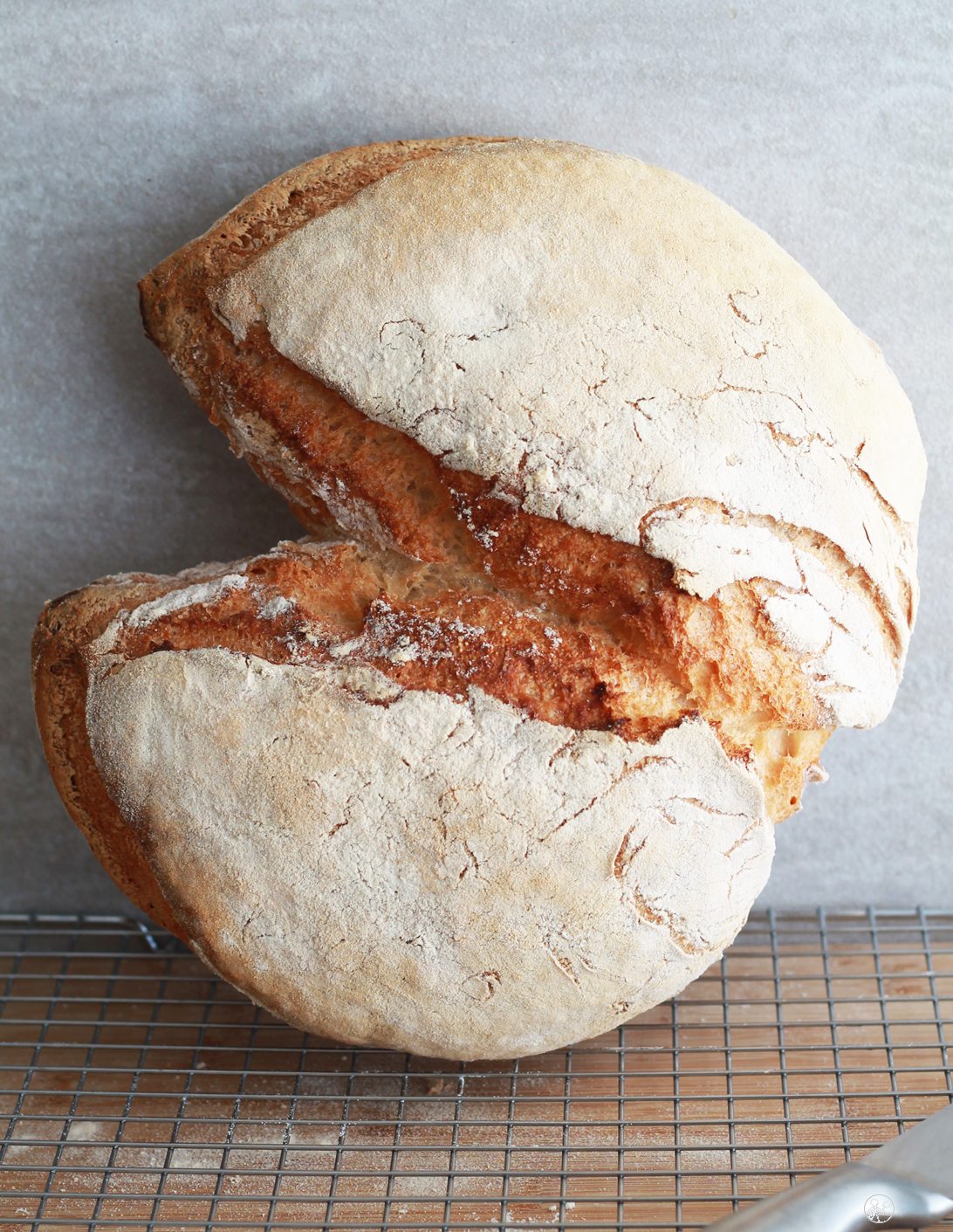 Pain d'Aix au levain sans gluten - La Cassata Celiaca