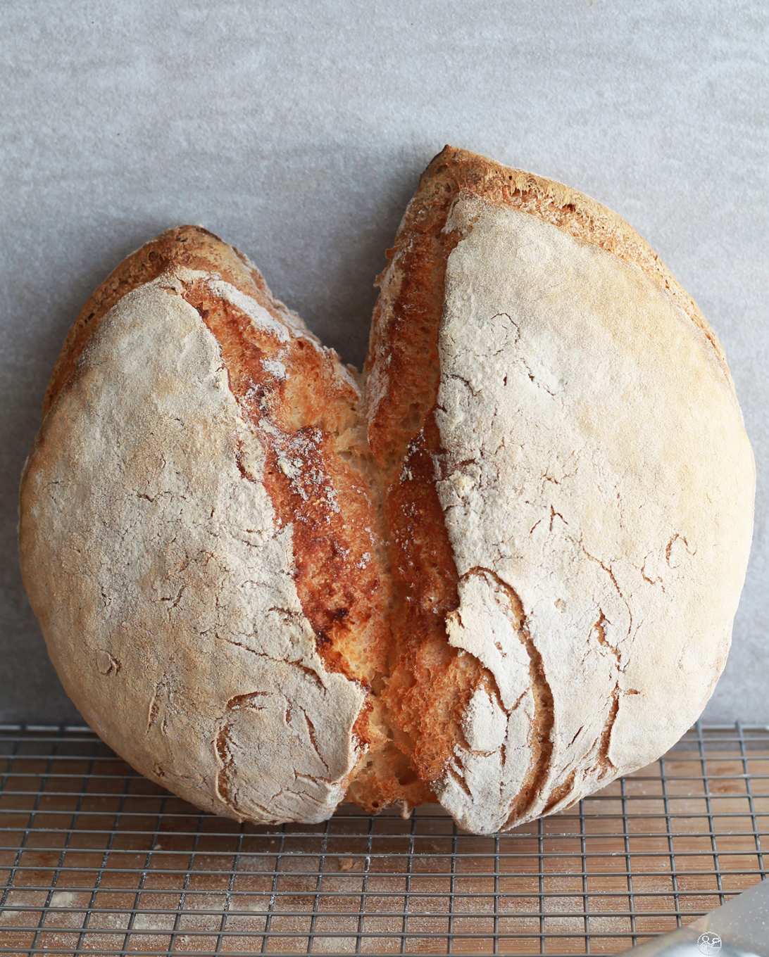 Pain d'Aix au levain sans gluten - La Cassata Celiaca