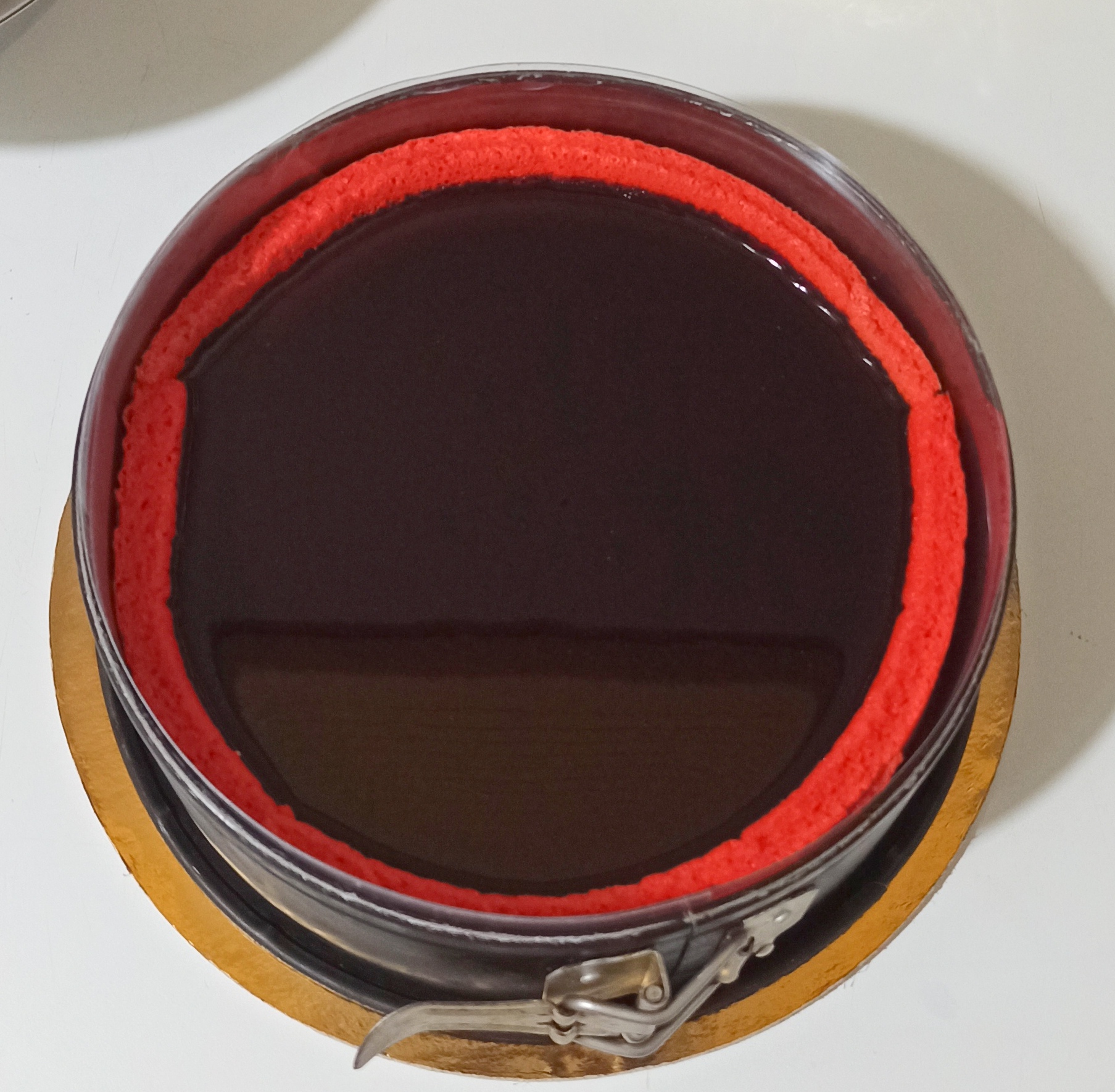 Bavarois aux fruits rouges sans gluten - La Cassata Celiaca