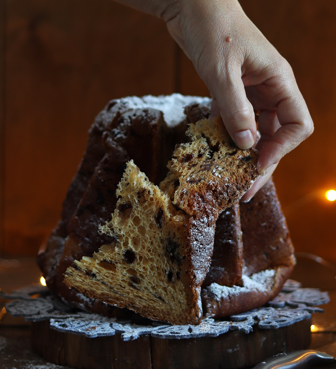 Pandoro con gocce di cioccolato con Miscela Oro Grandi lievitati - La Cassata Celiaca Pandoro con gocce di cioccolato con Miscela Oro Grandi lievitati - La Cassata Celiaca