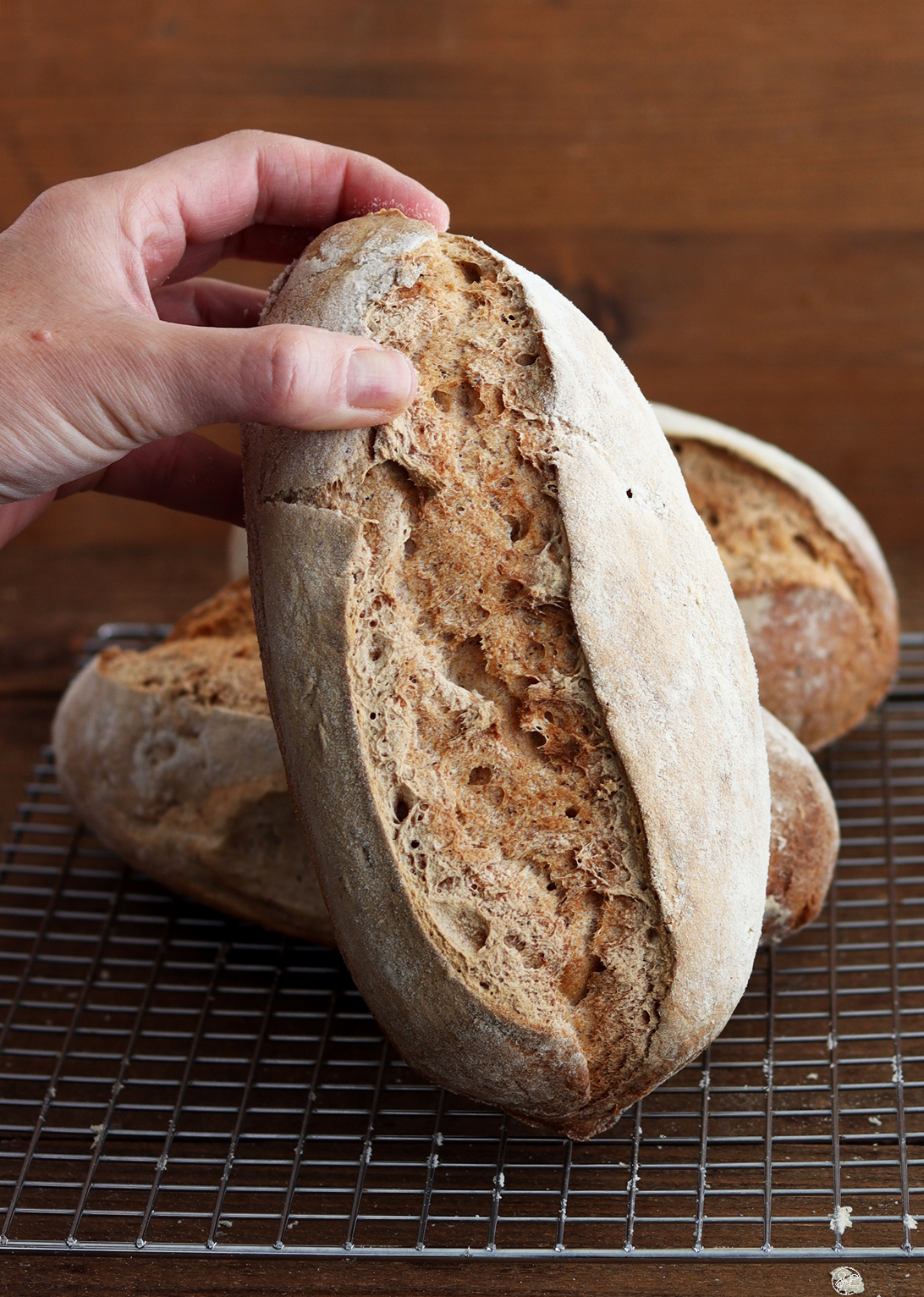 Pain sans gluten sur biga, poolish ou méthode directe - La Cassata Celiaca