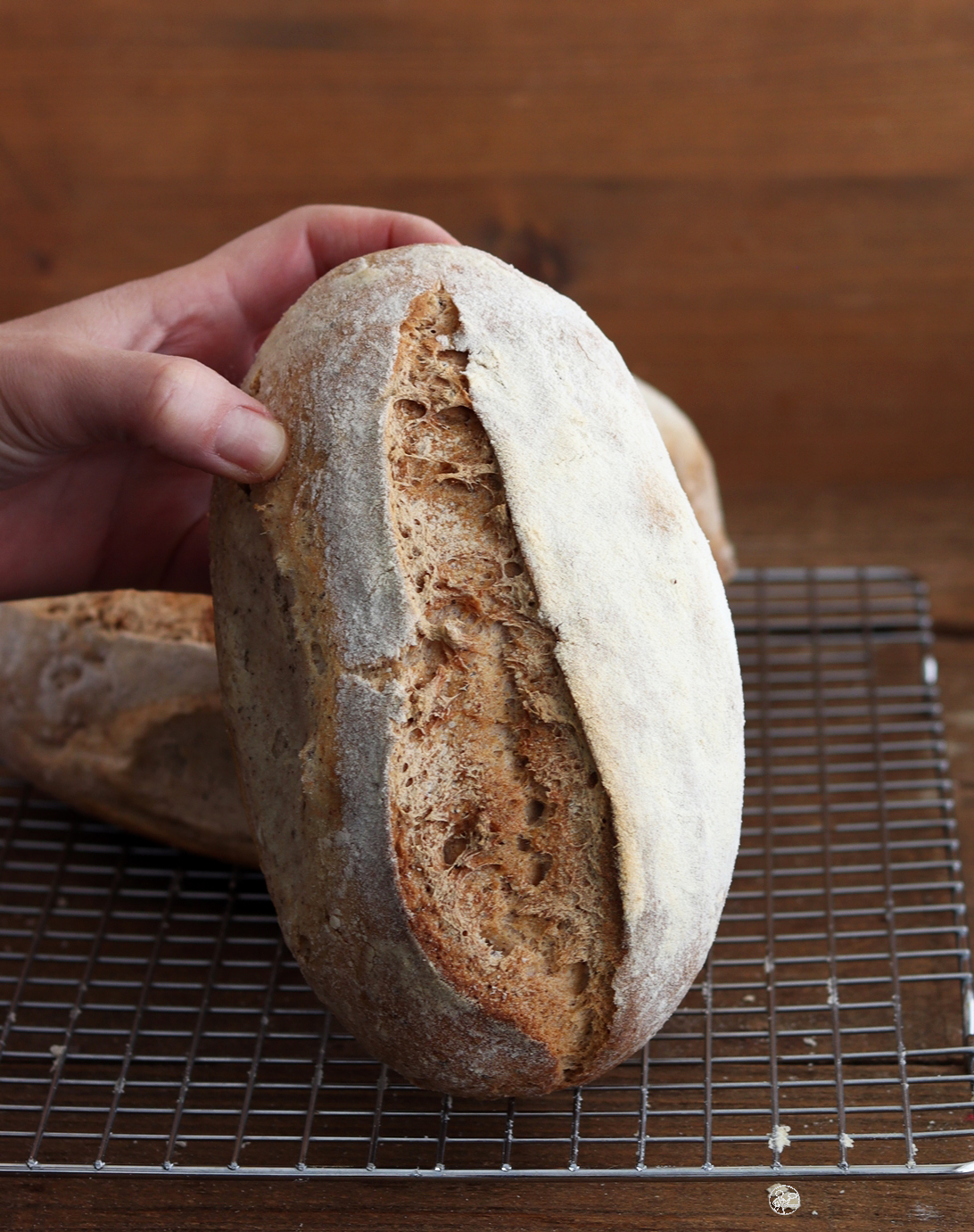 Pain sans gluten sur biga, poolish ou méthode directe - La Cassata Celiaca Pain sans gluten sur biga, poolish ou méthode directe - La Cassata Celiaca