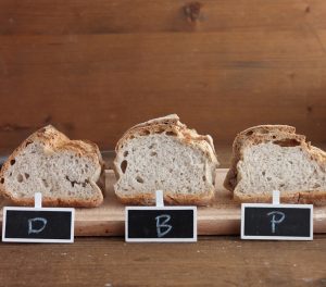 Biga, poolish, impasto diretto senza glutine - La Cassata Celiaca Biga, poolish, impasto diretto senza glutine - La Cassata Celiaca