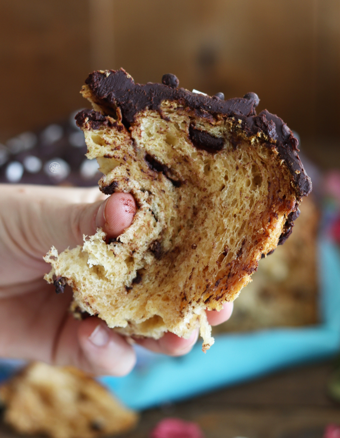 Colomba sans gluten au chocolat noir - La Cassata Celiaca