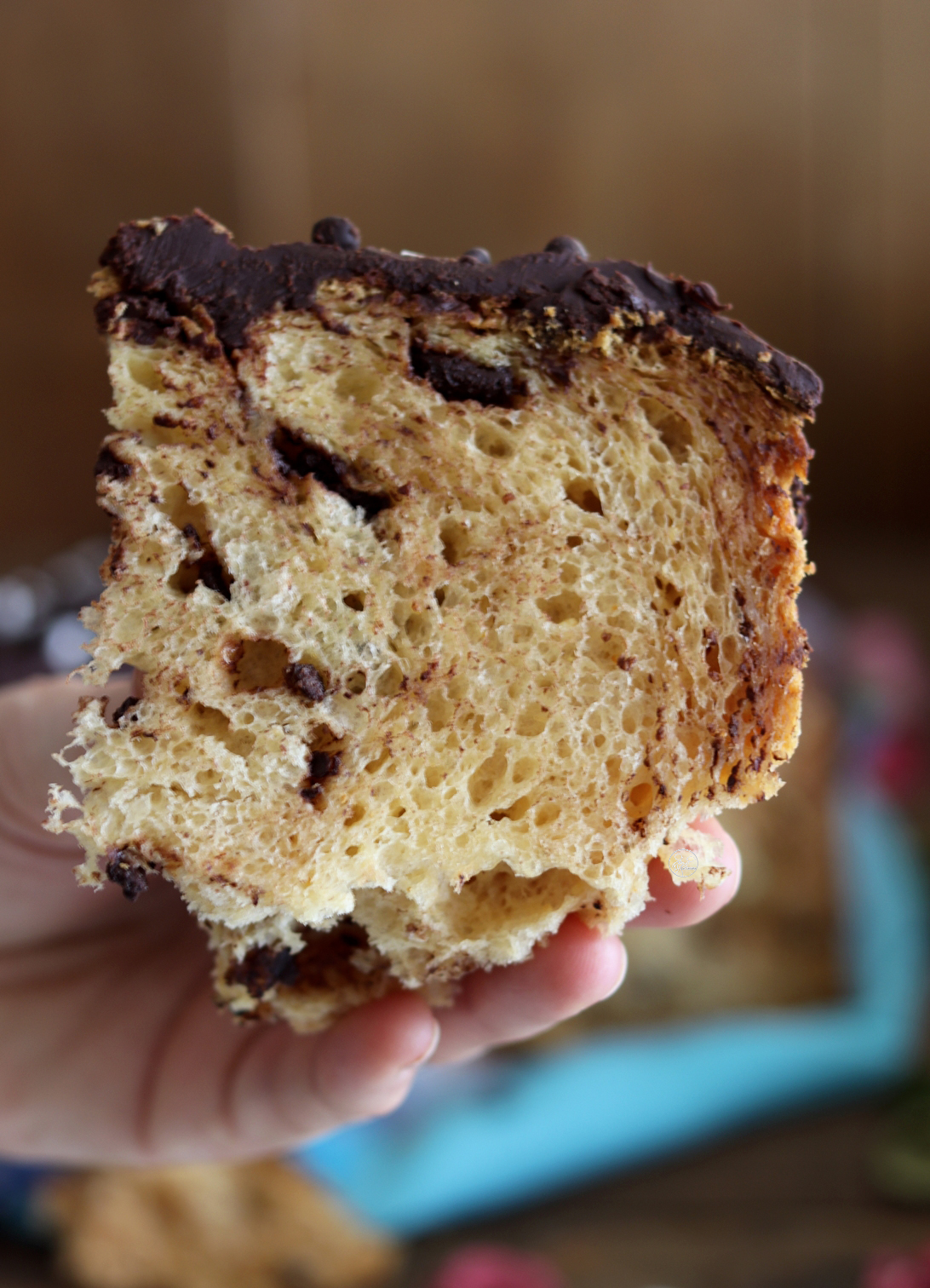 Colomba sans gluten au chocolat noir - La Cassata Celiaca