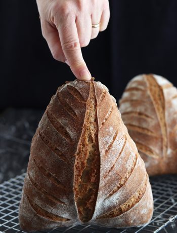 Pane integrale a foglia senza glutine - La Cassata Celiaca