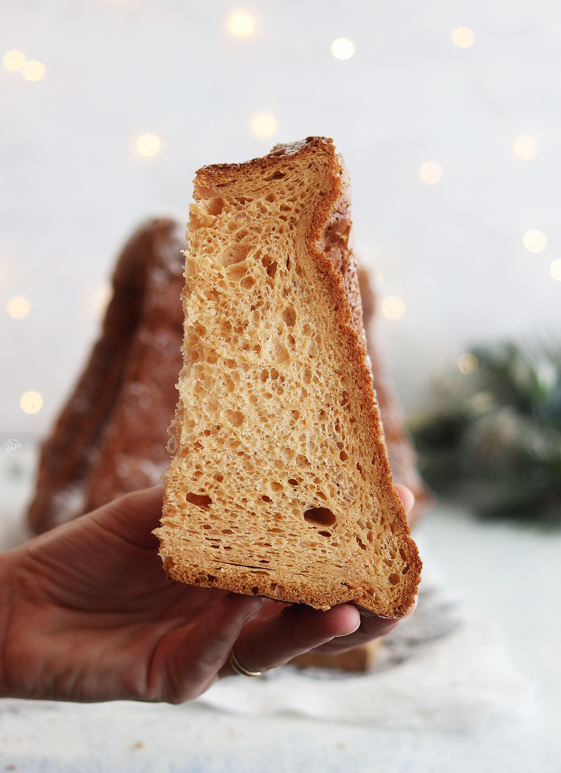 Pandoro classico senza glutine con Miscela grandi lievitati - La Cassata Celiaca