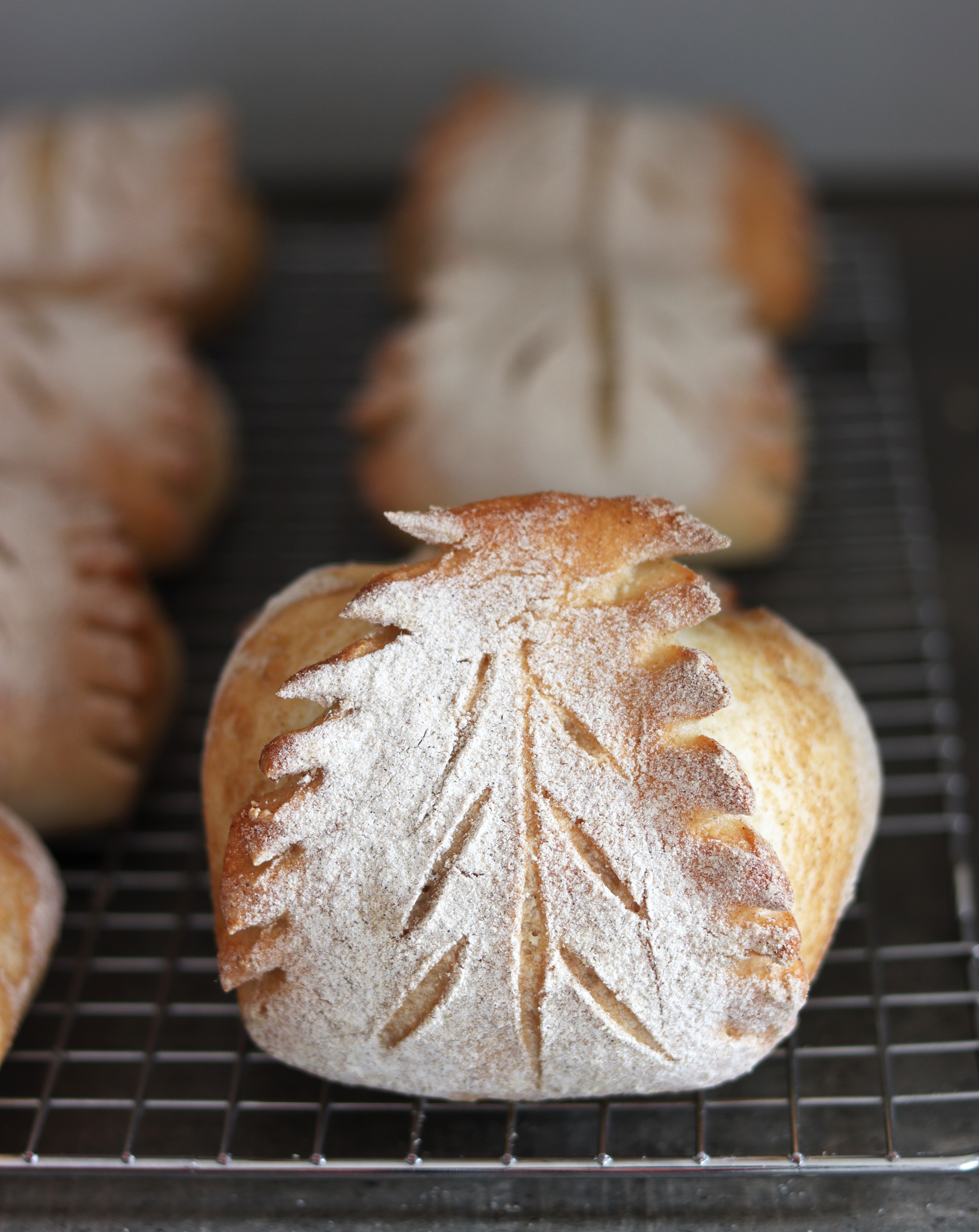 Panini foglia senza glutine - La Cassata Celiaca