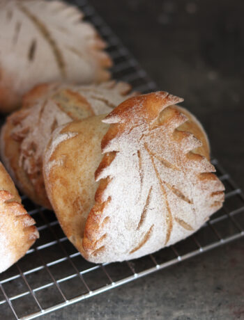 Petits pains feuille sans gluten - La Cassata Celiaca