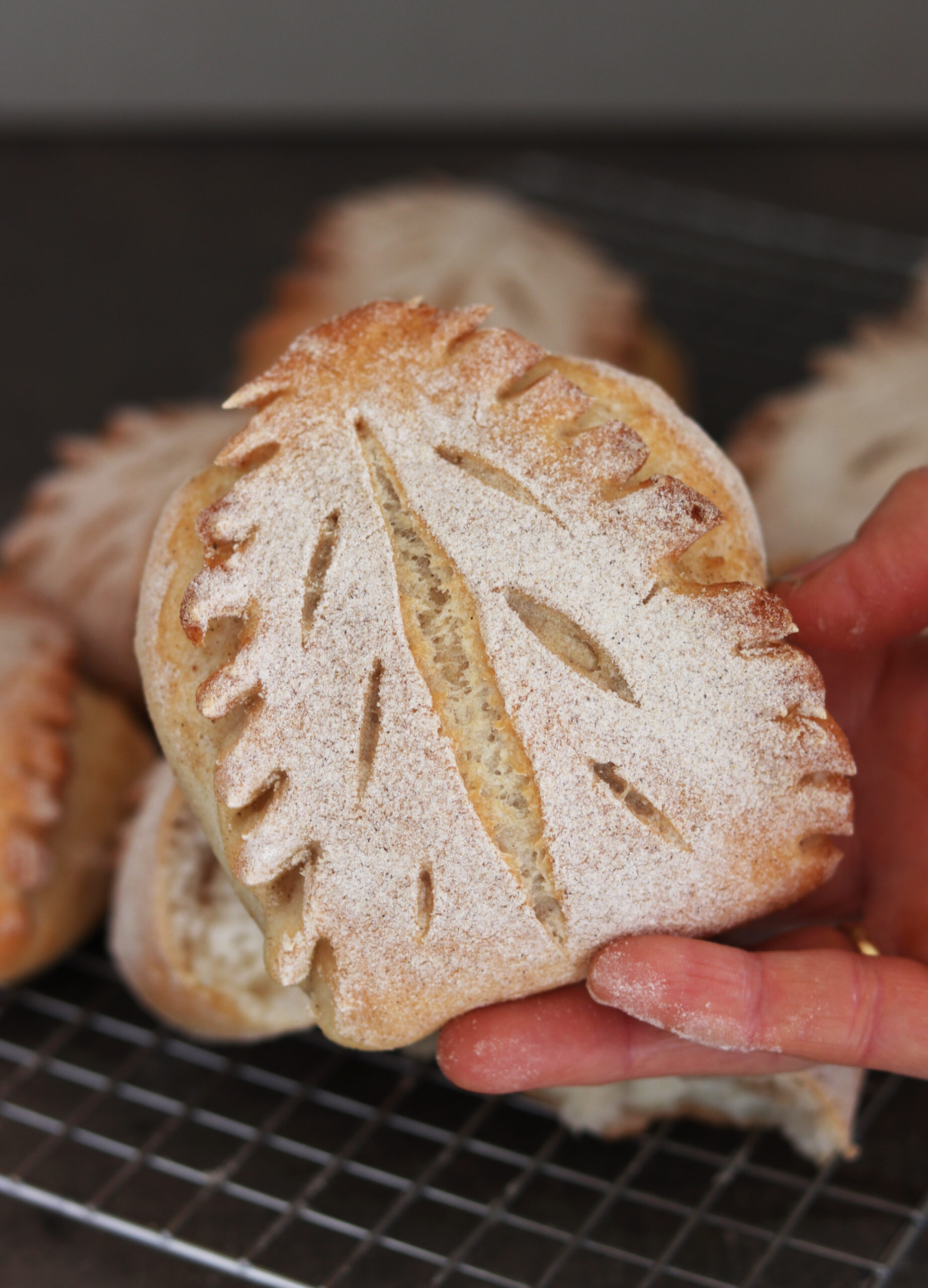 Panini foglia senza glutine - La Cassata Celiaca