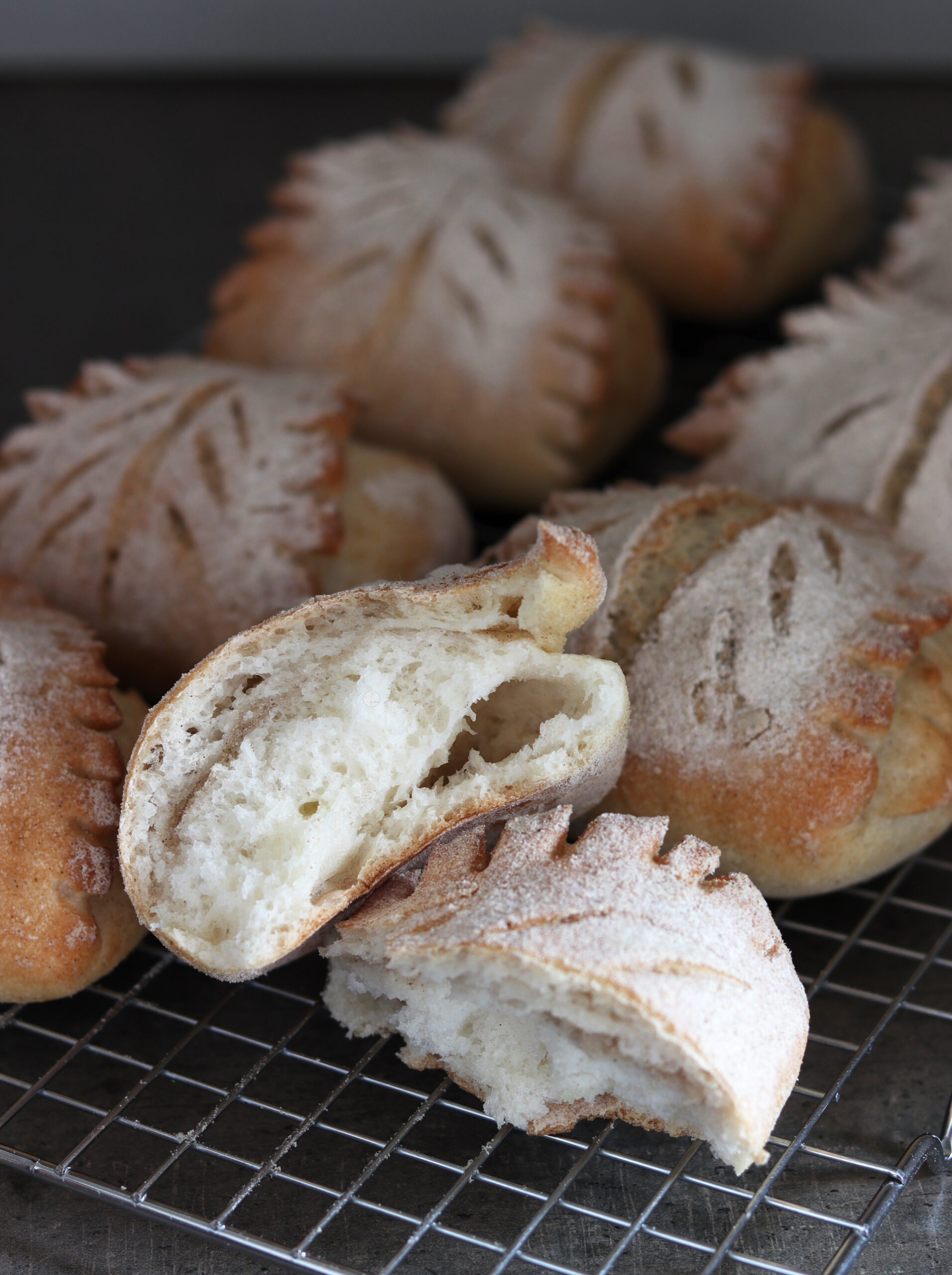 Panini foglia senza glutine - La Cassata Celiaca