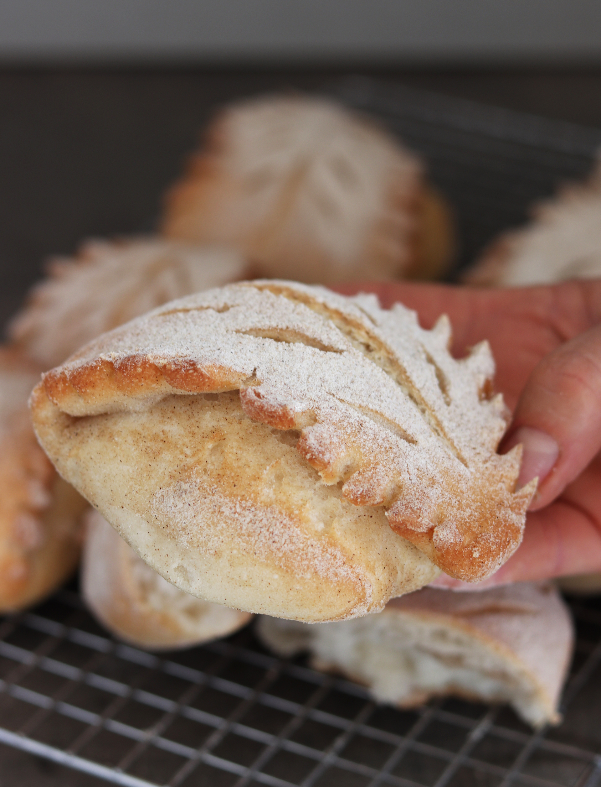 Petits pains feuille sans gluten - La Cassata Celiaca