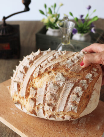 Pain de campagne sans gluten et sans lactose - La Cassata Celiaca