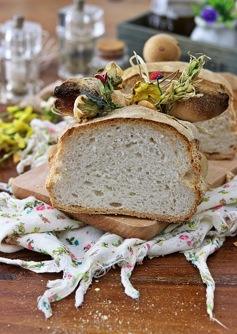Lapin de Pain sans gluten - La Cassata Celiaca