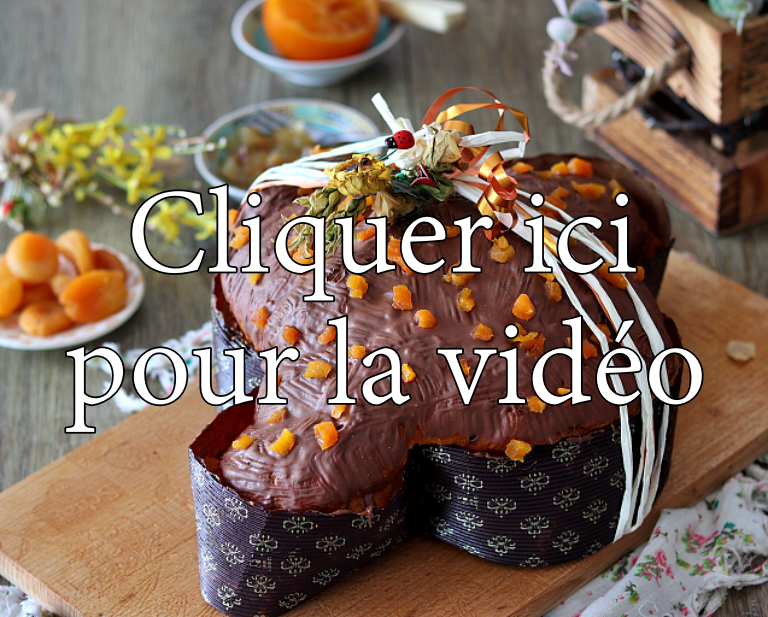 Colomba aux abricots et citron sans gluten