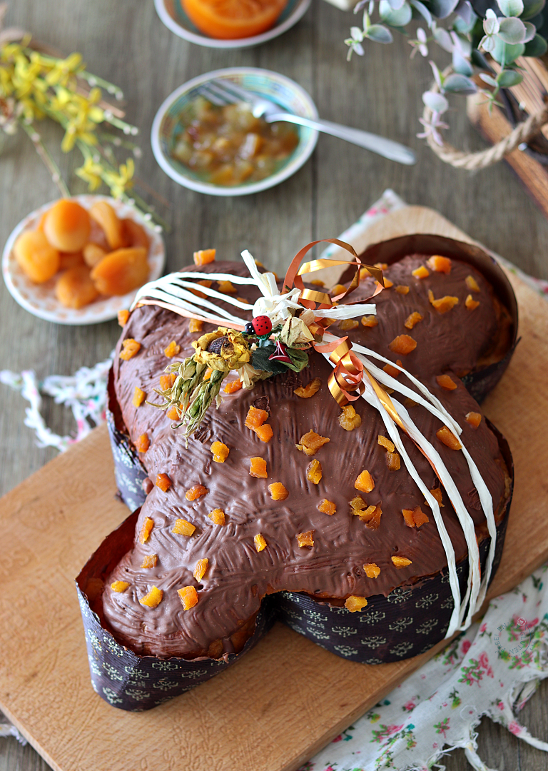 Colomba alle albicocche e limone senza glutine - La Cassata Celiaca